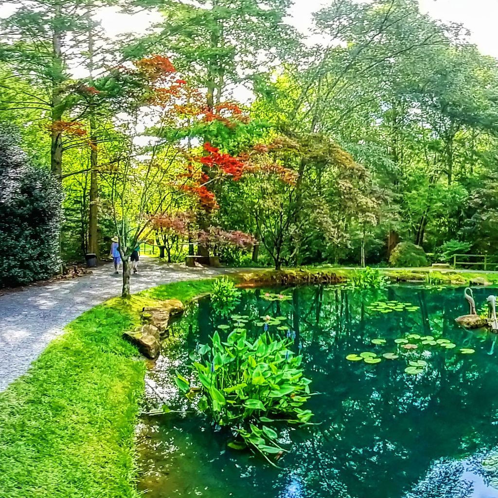 Monet Pond - Chair 4