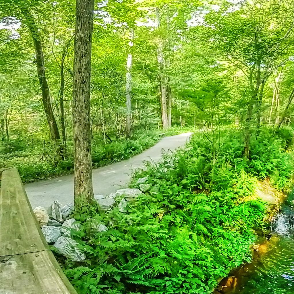 Stream 2