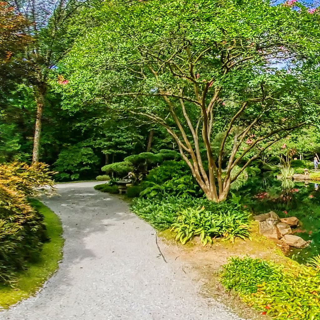 360 - Japanese Garden 1