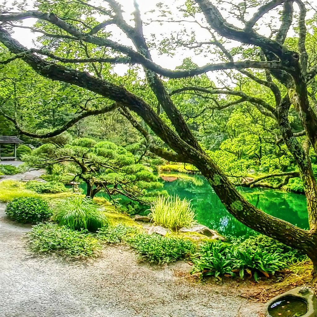 Japanese Garden - Island 9