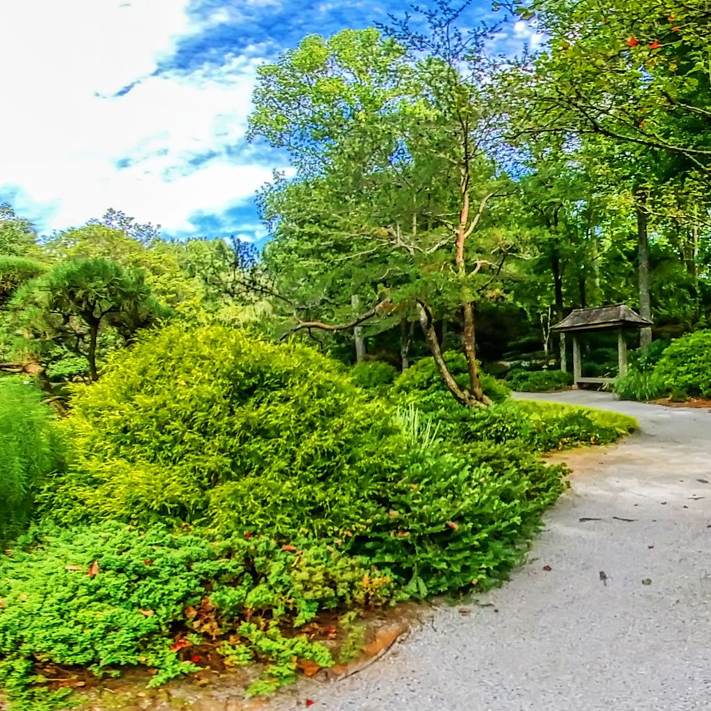 360 - Japanese Garden 3