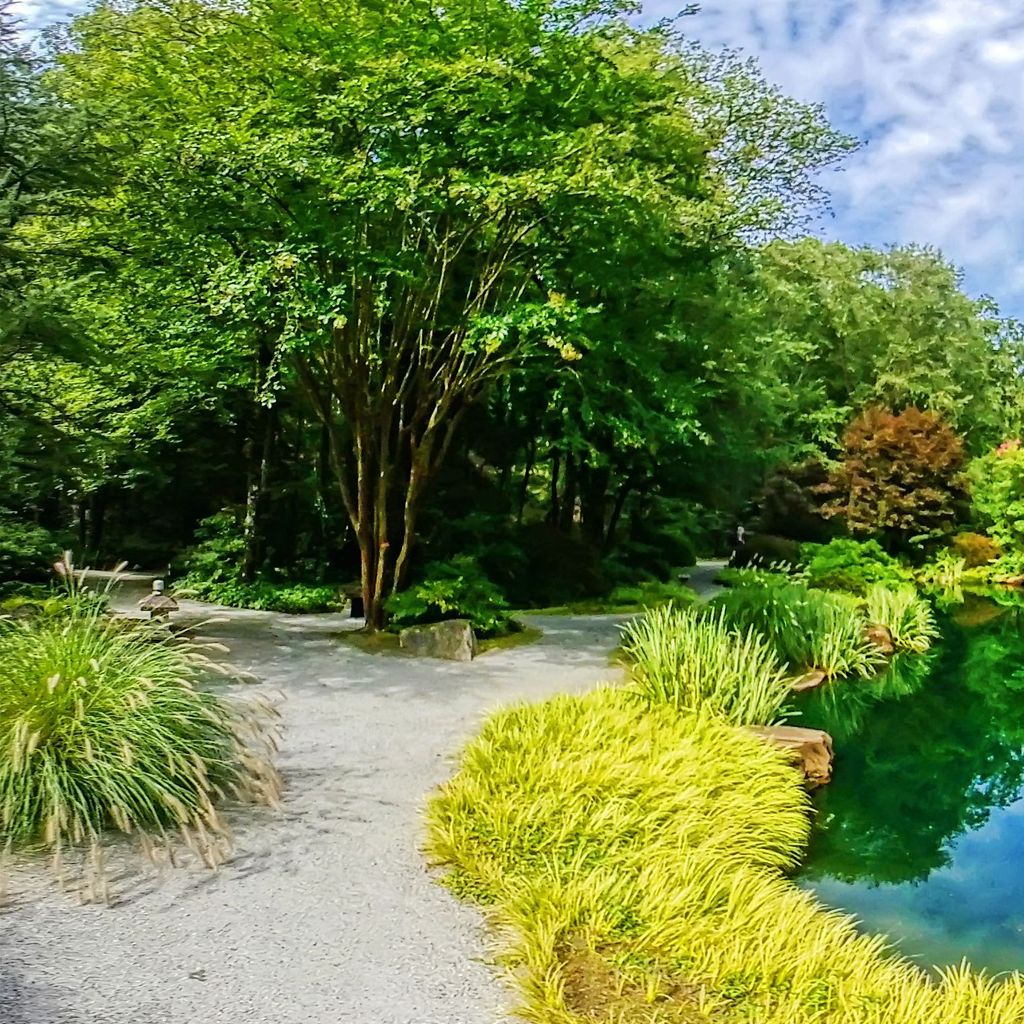 Japanese Garden - Middle 4