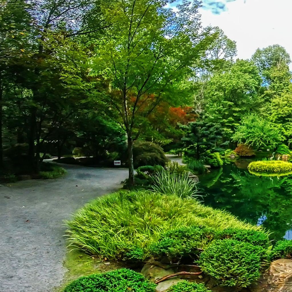 Japanese Garden - Island 11
