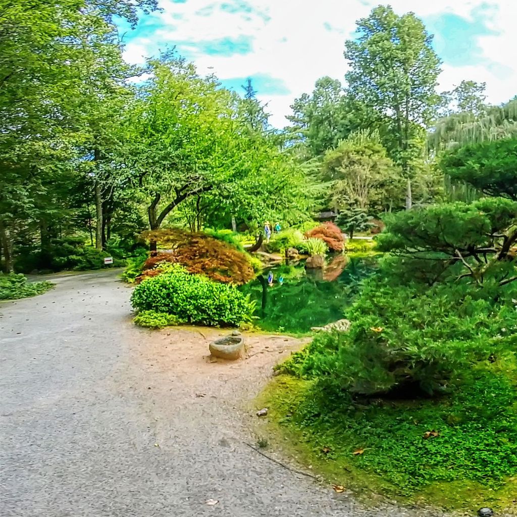 Japanese Garden - Island 13