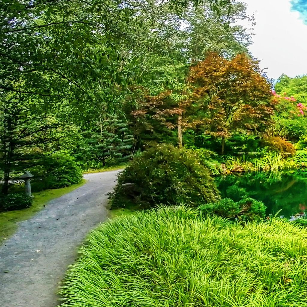 Japanese Garden - Mid