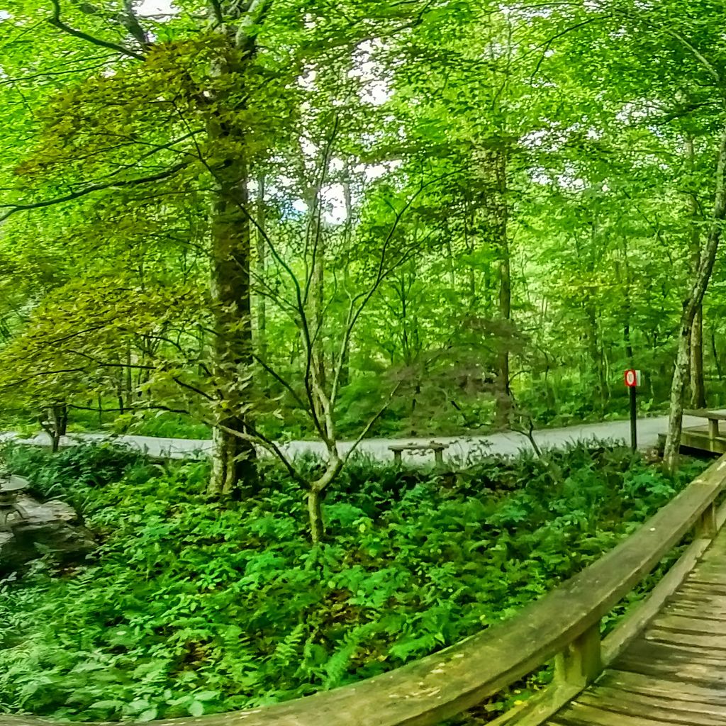 360 - Zig Zag Bridge