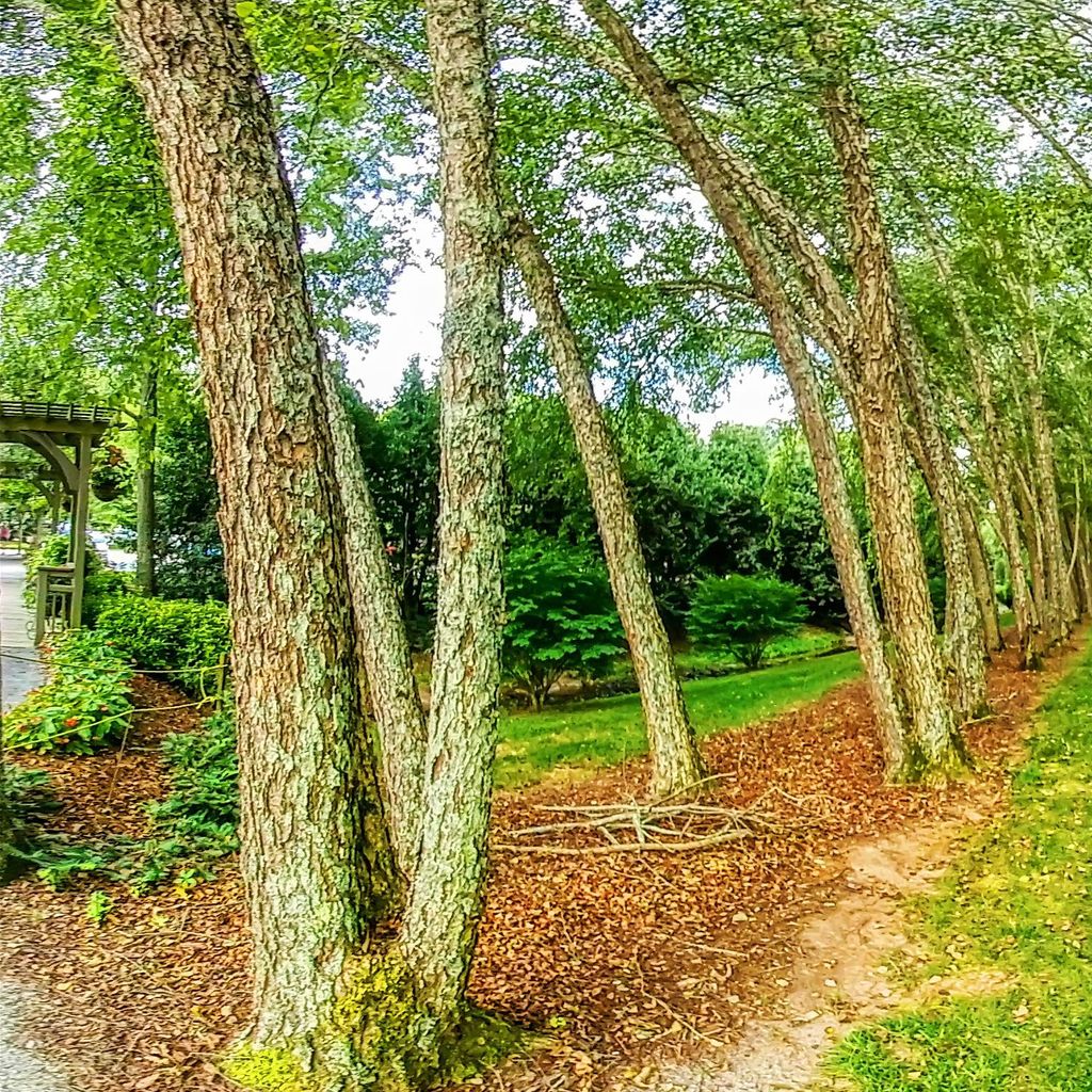 Entrance - Summer