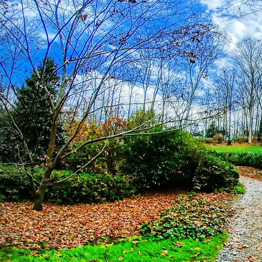 Manor Path 3