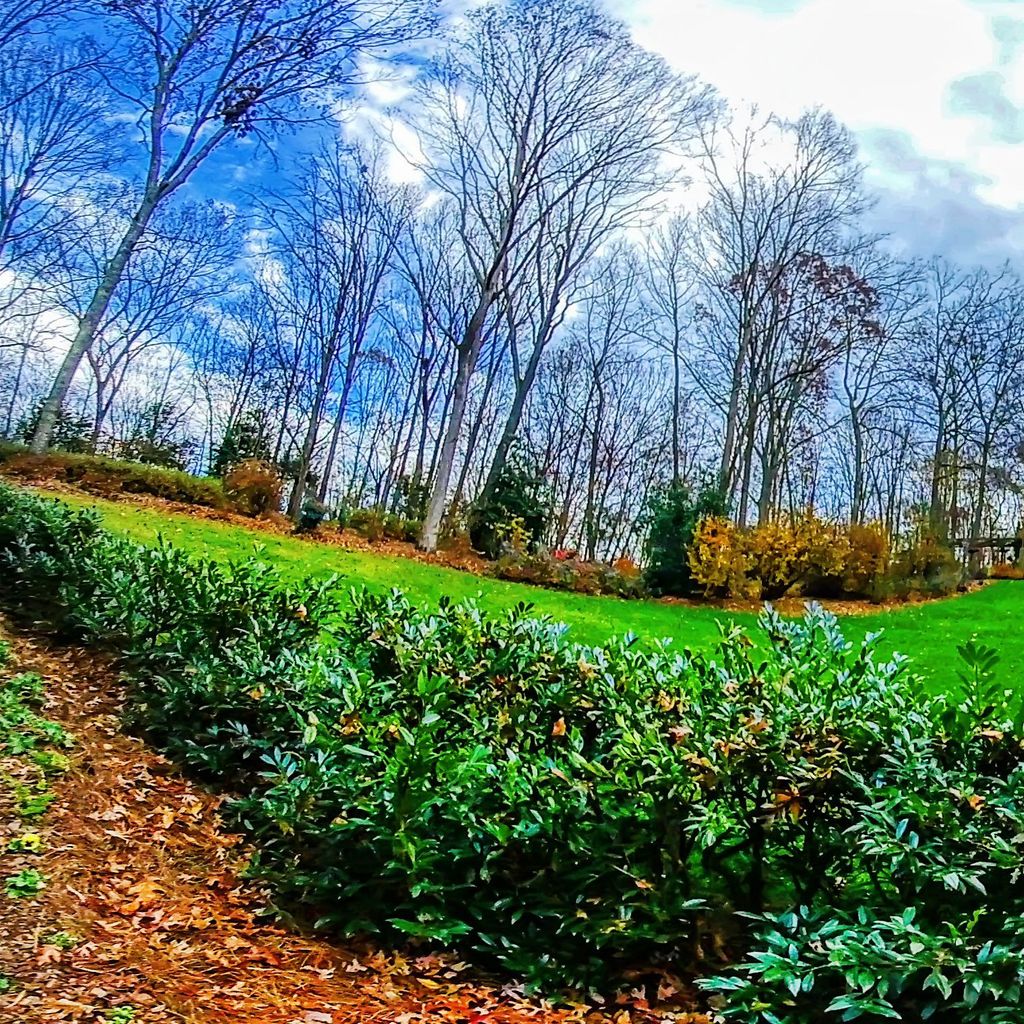 Manor Path 4