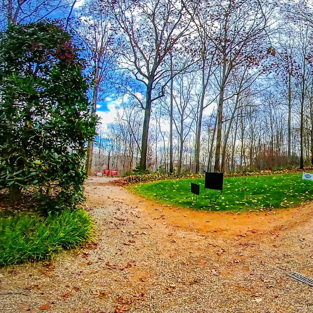 Manor Path - Split