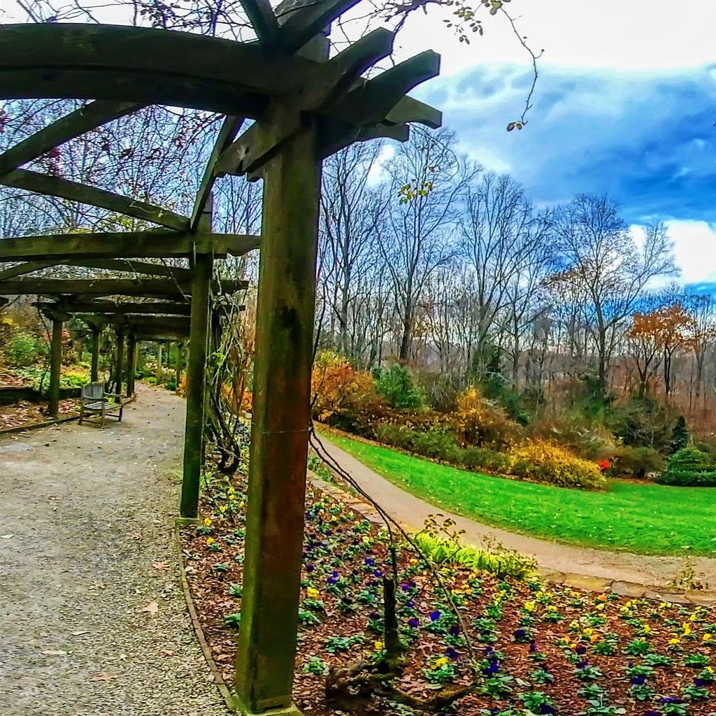 Rose Arbor 4
