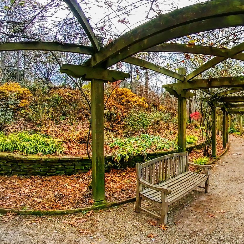Rose Arbor 5