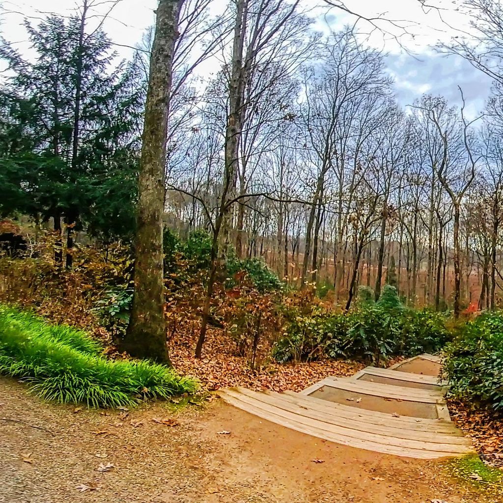 Fish Pool - Overlook 2