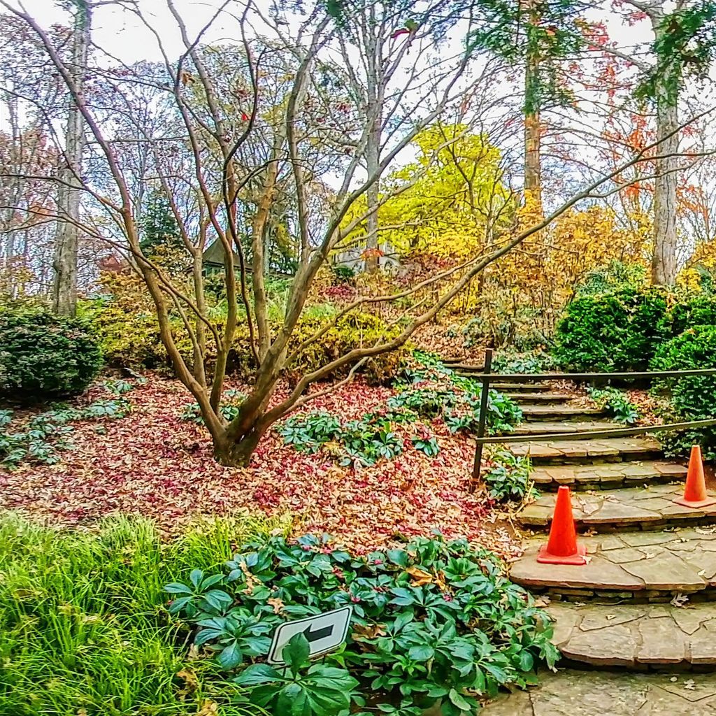 Hydrangea Garden - Entrance
