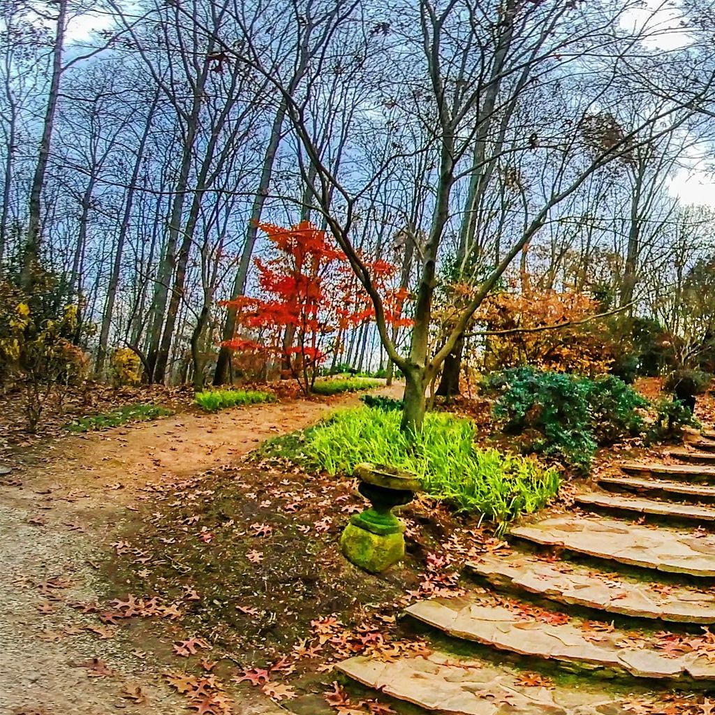 Manor Garden - Entrance 1