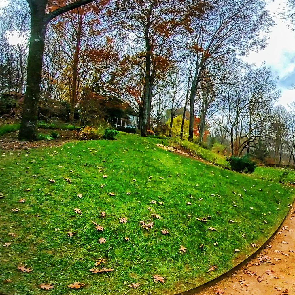 Sunken Garden 1