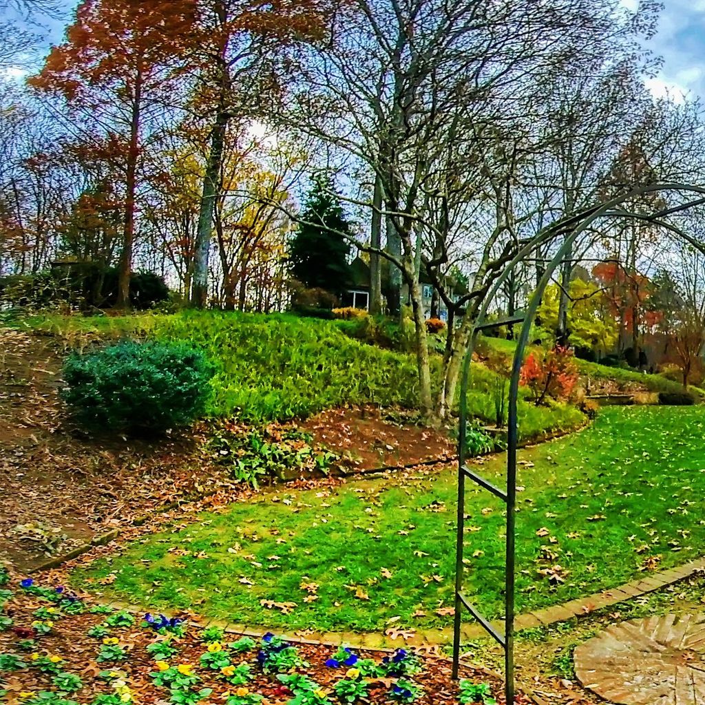 Sunken Garden 3