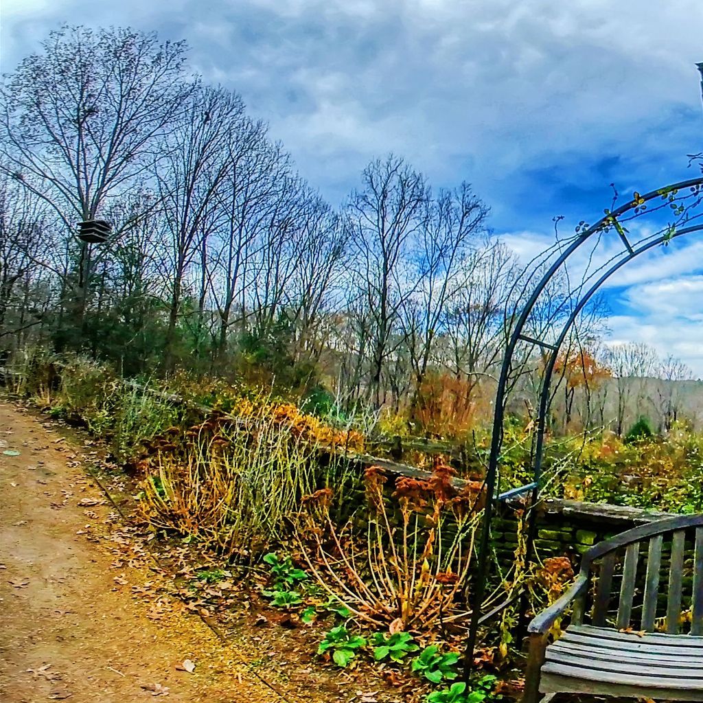 Sunken Garden 4