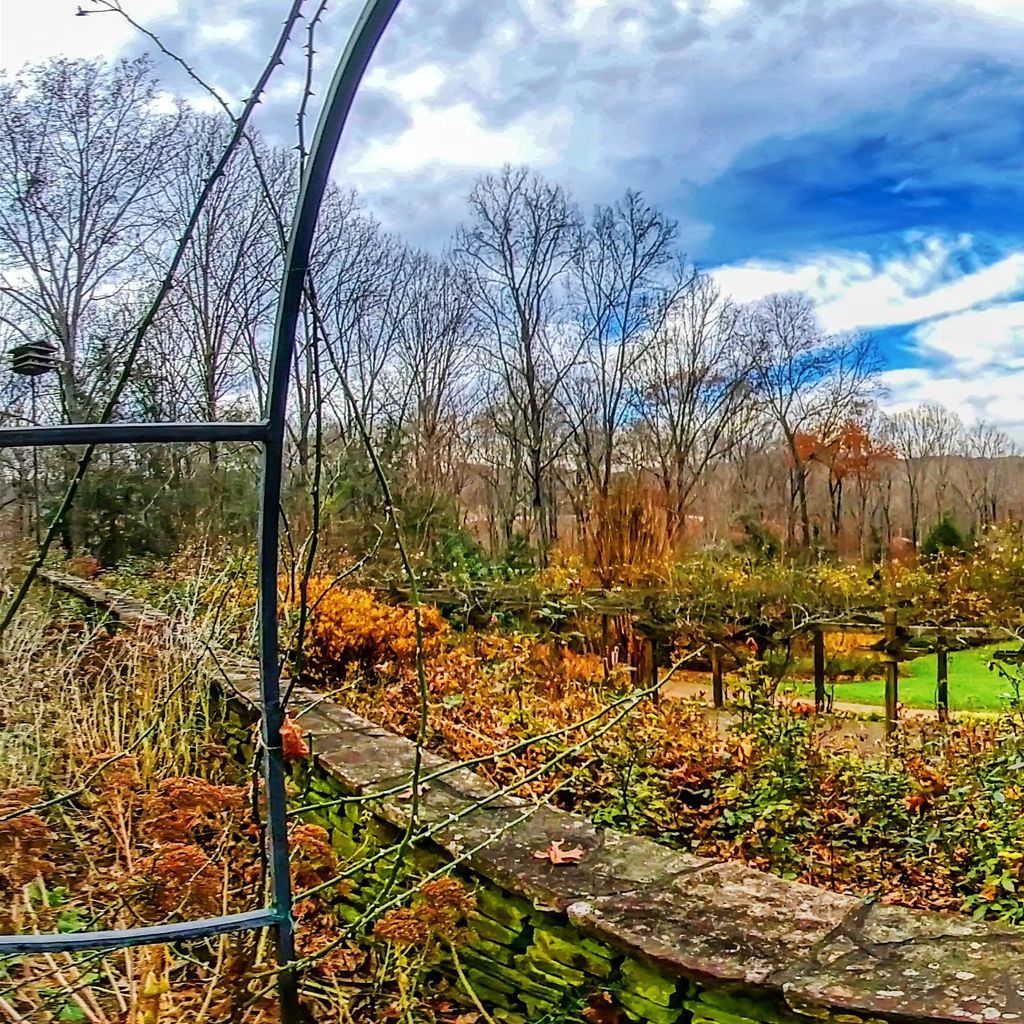 Sunken Garden 5