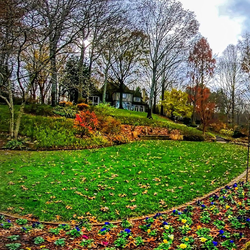 Sunken Garden 2