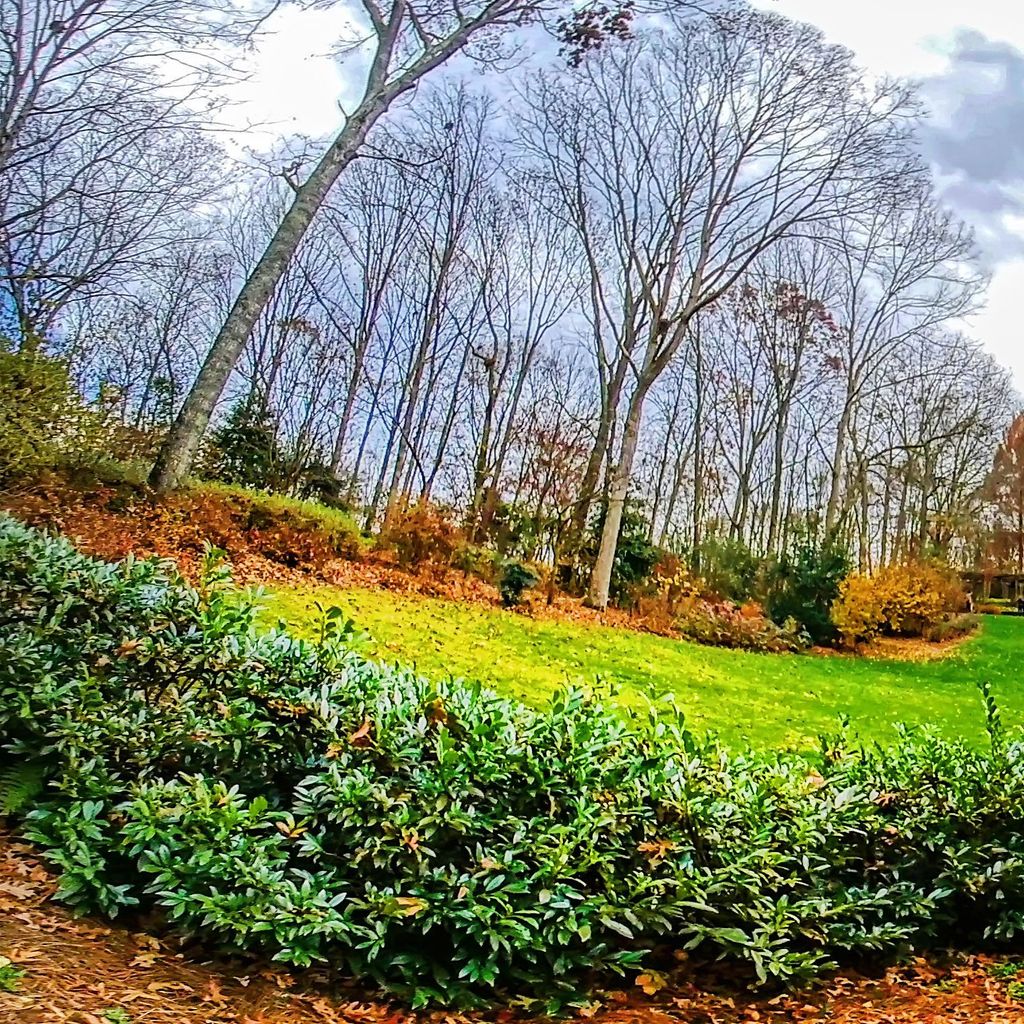 Manor Path 5