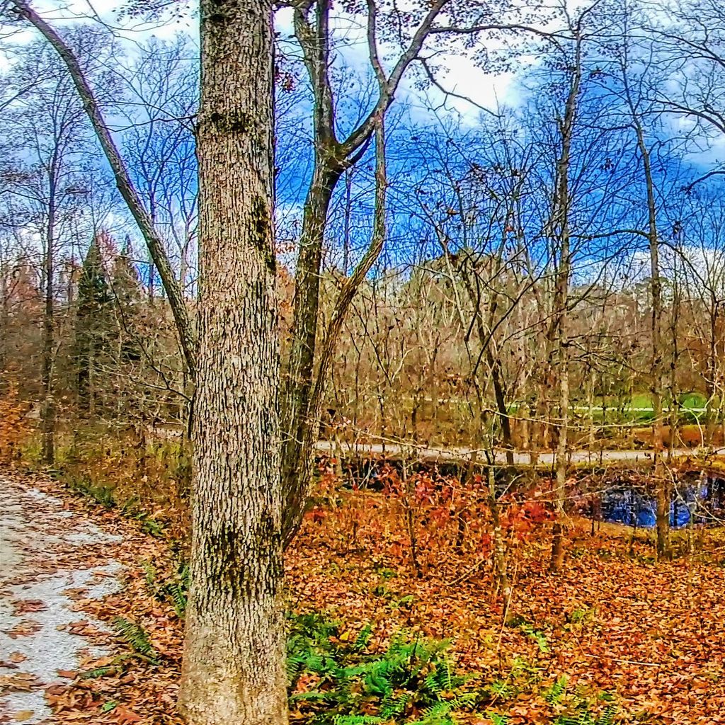Manor Path 