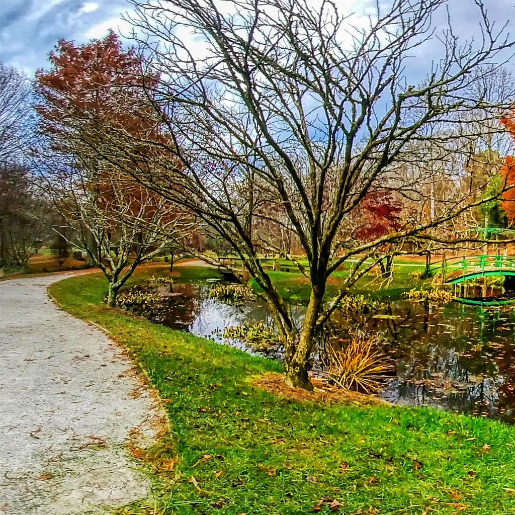 Monet Bridge - Fall 7