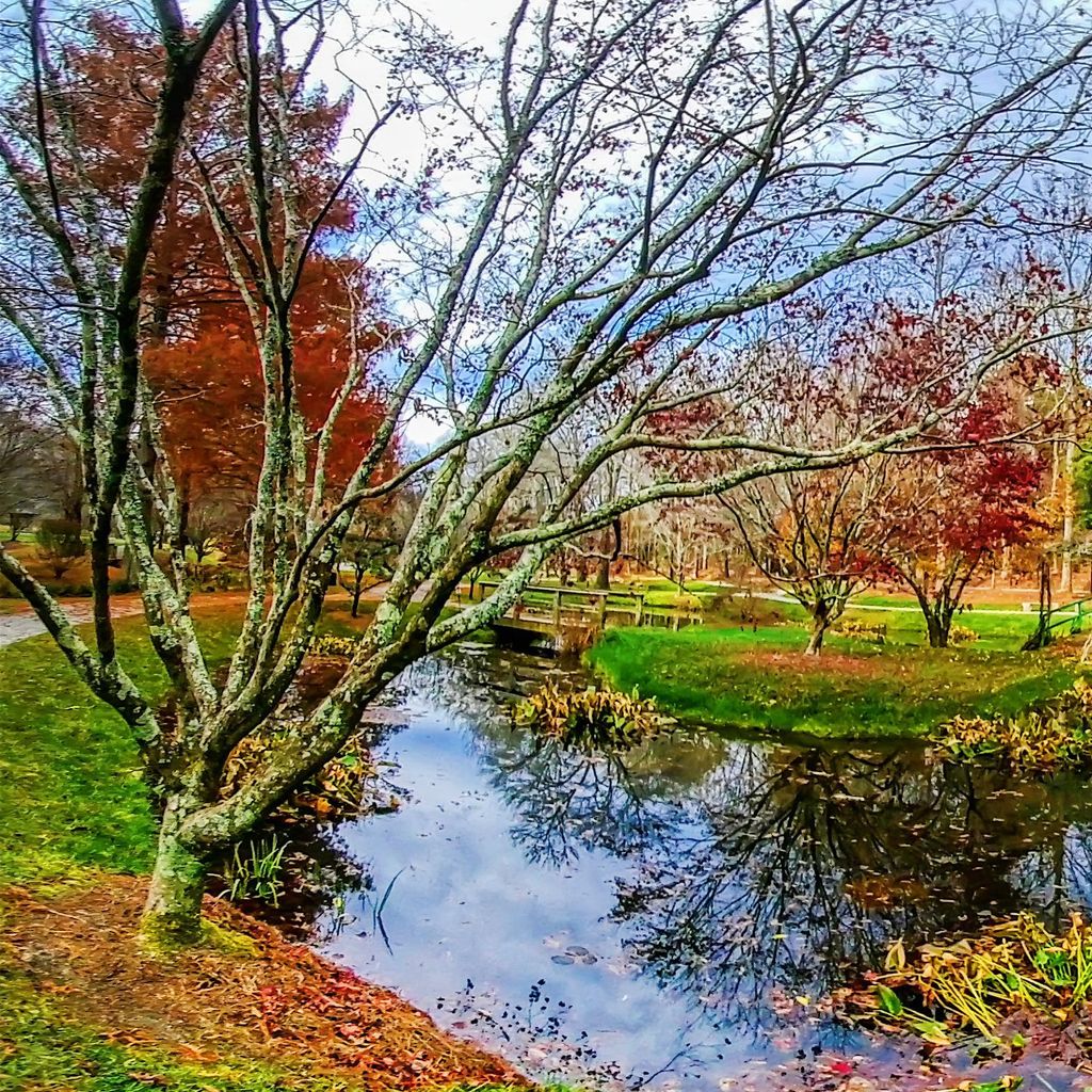 Monet Bridge - Fall 8