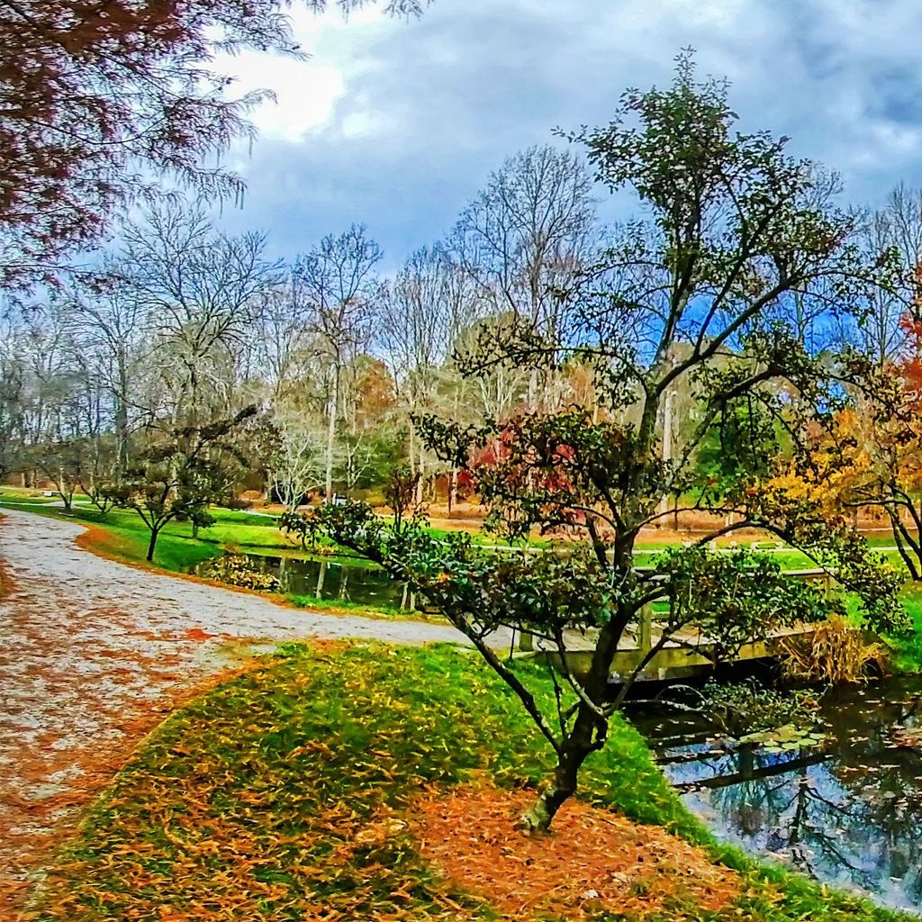 Monet Bridge - Fall 9