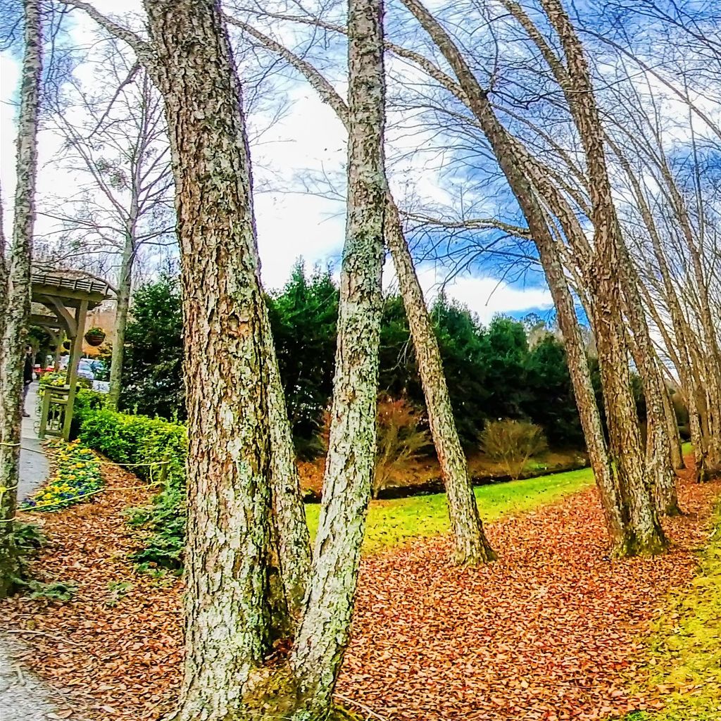 Entrance - Winter