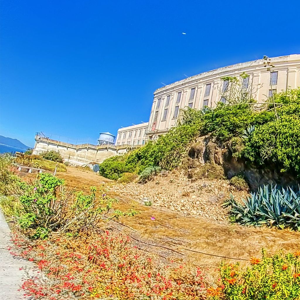 Alcatraz - West Side Gardens 1