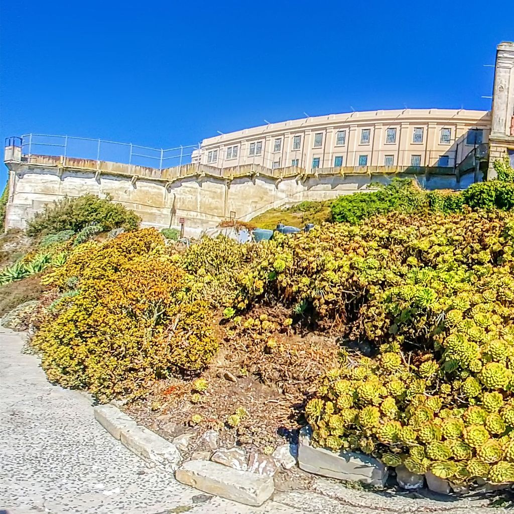 Alcatraz - West Side Gardens 3