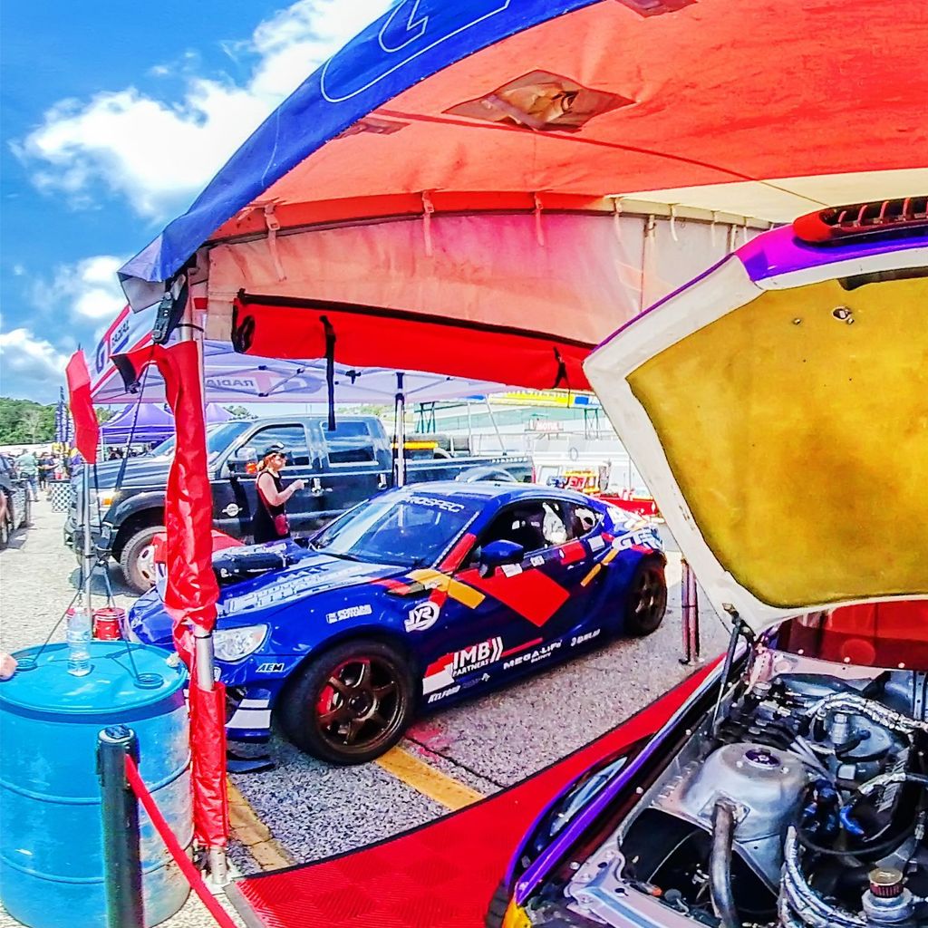 Paddock 8