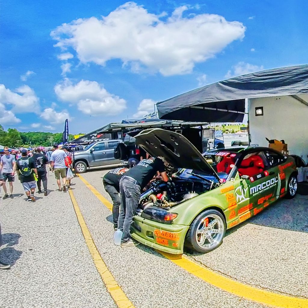 Paddock 10