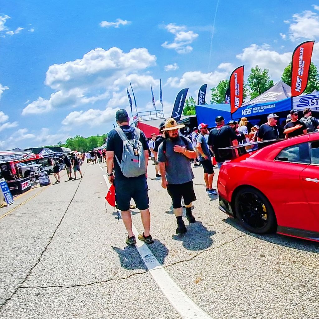 Paddock 14