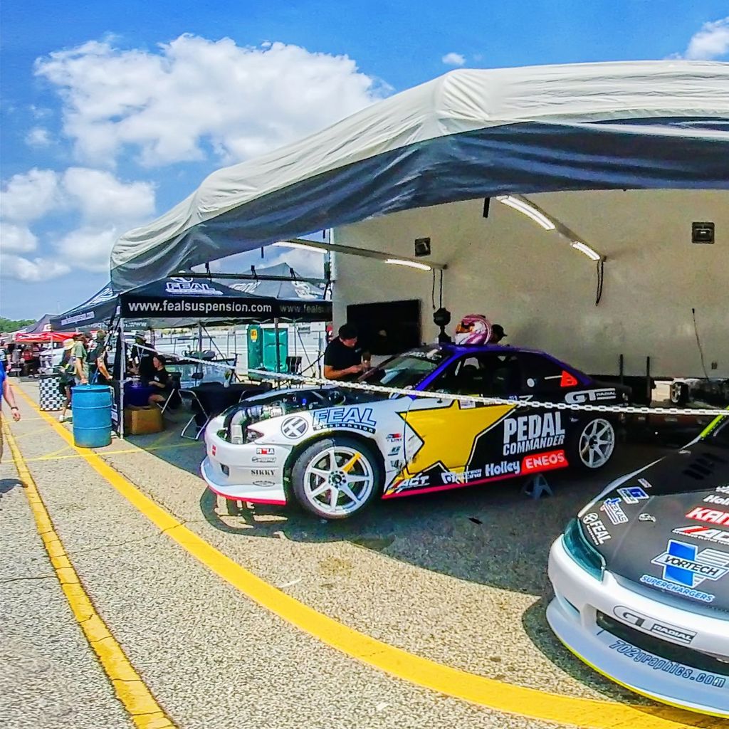 Paddock 15