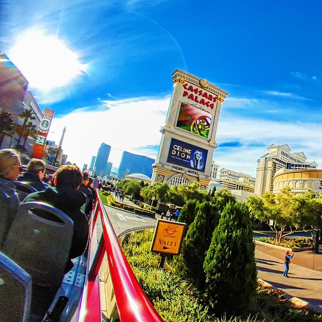 Bus Tour