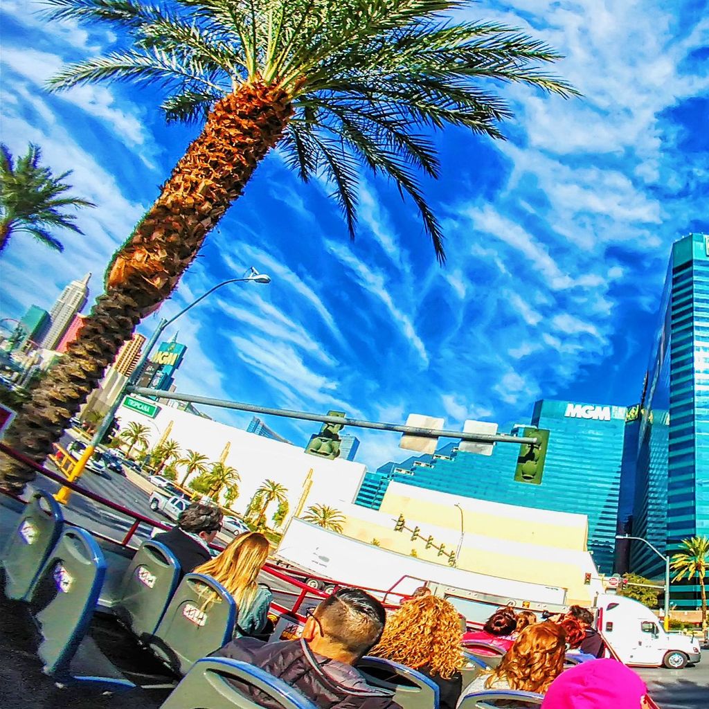 Bus Tour - MGM Grand