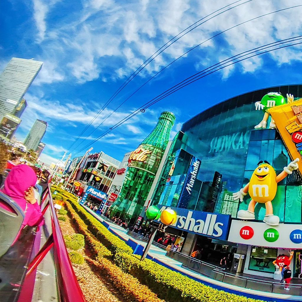 Bus Tour - M&M Store