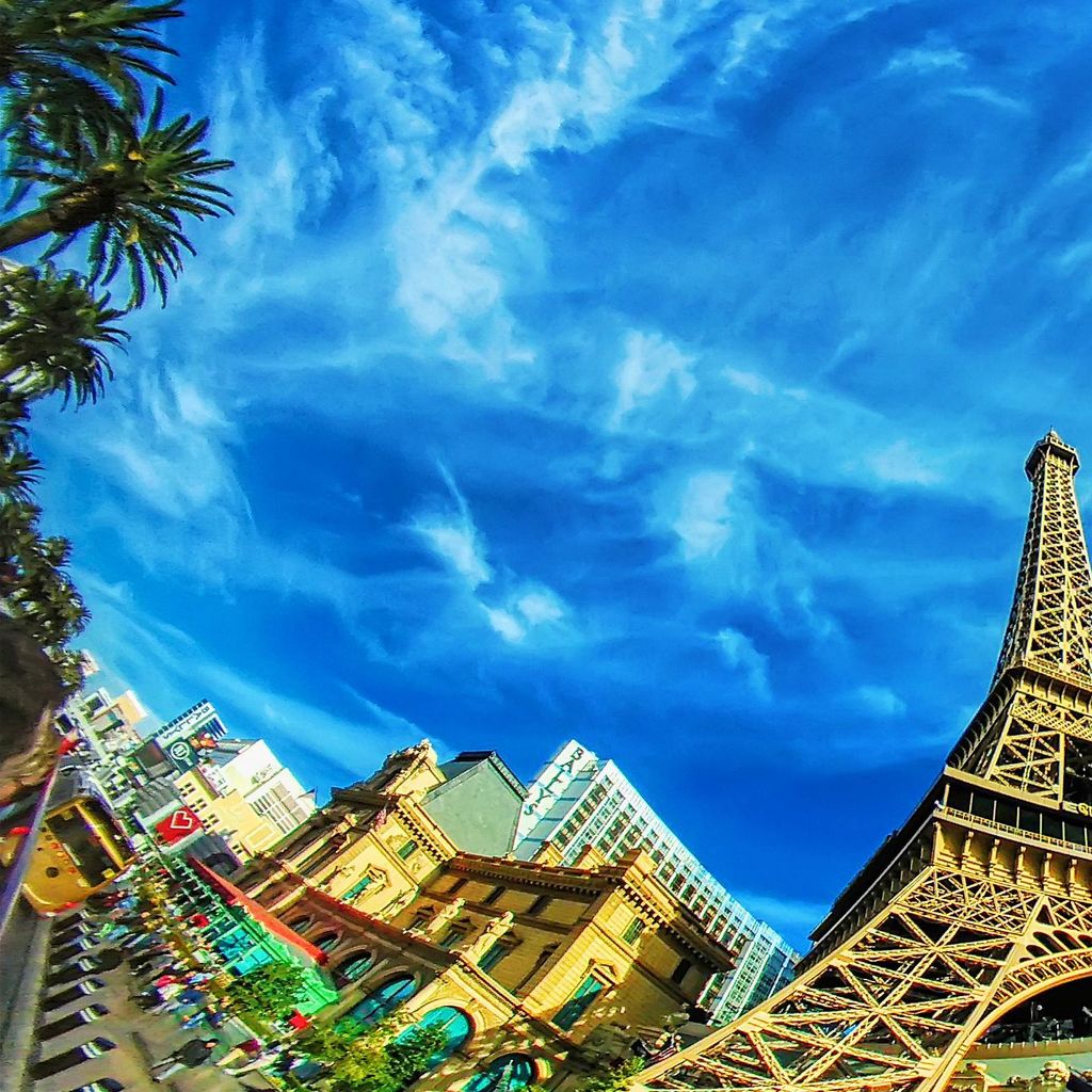 Bus Tour - Paris