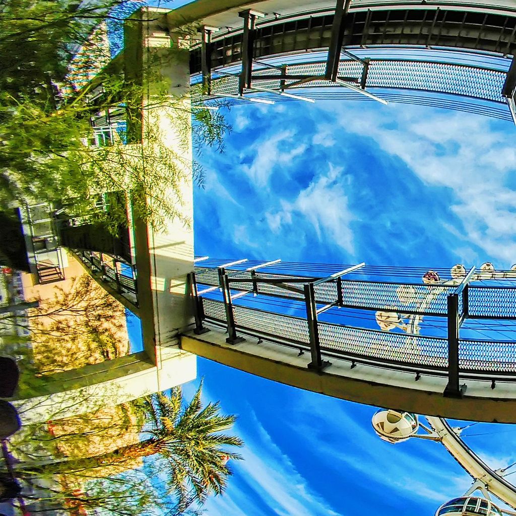 Bus Tour - High Roller 3
