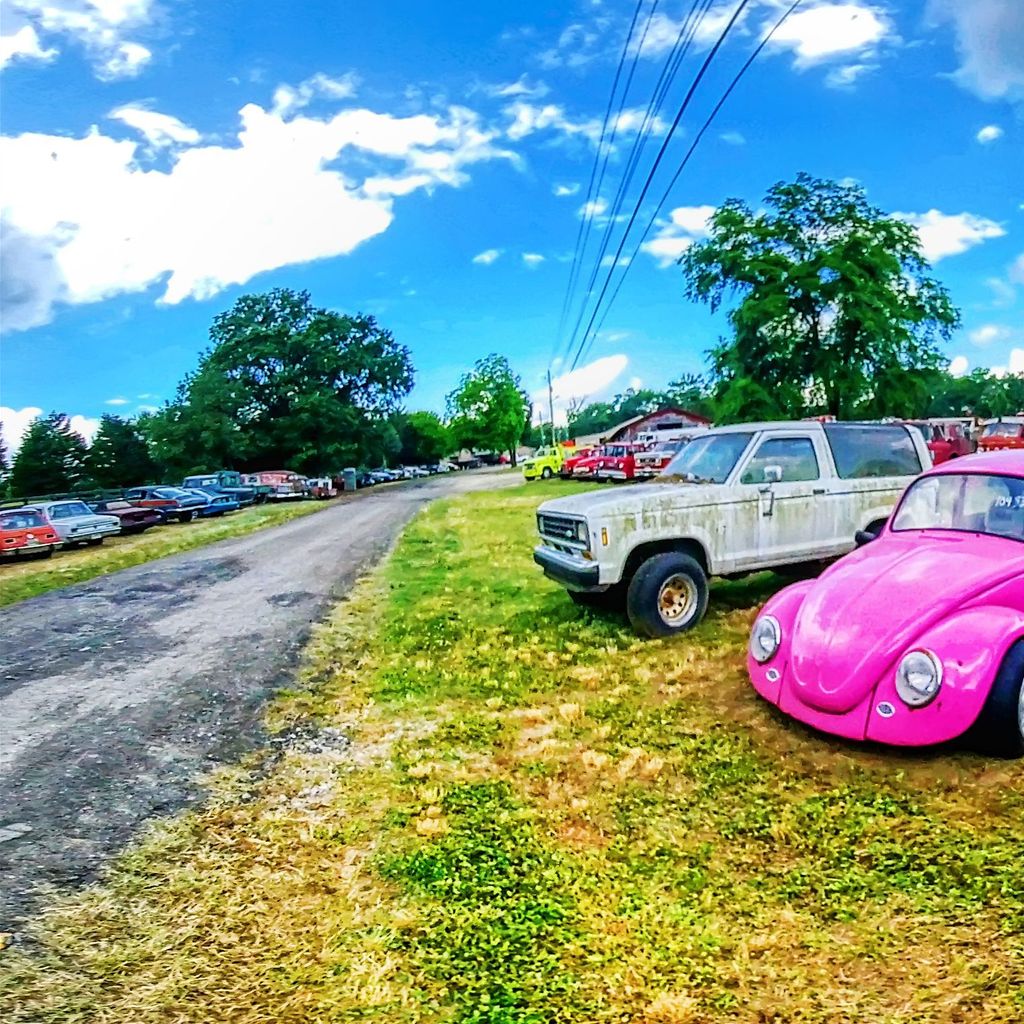 Volkswagen Beetles