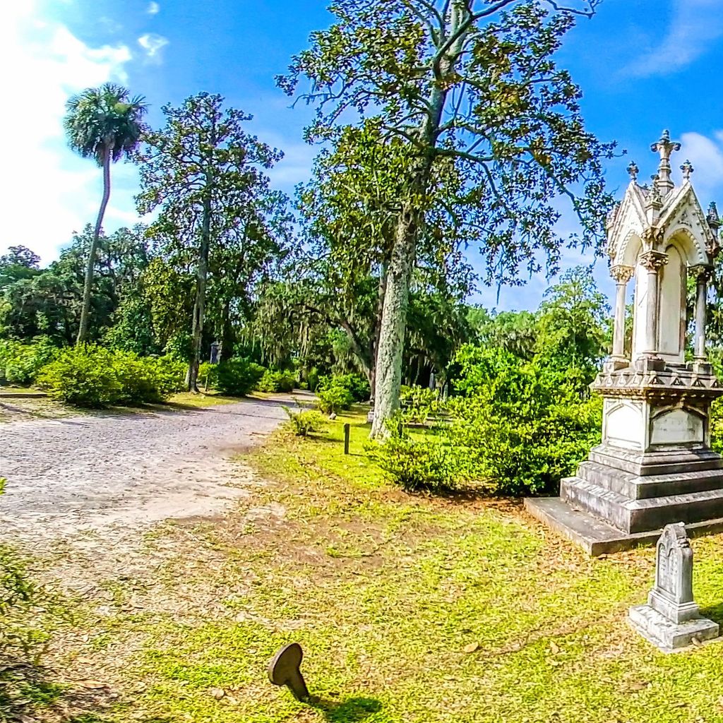Bonaventure Cemetary 3