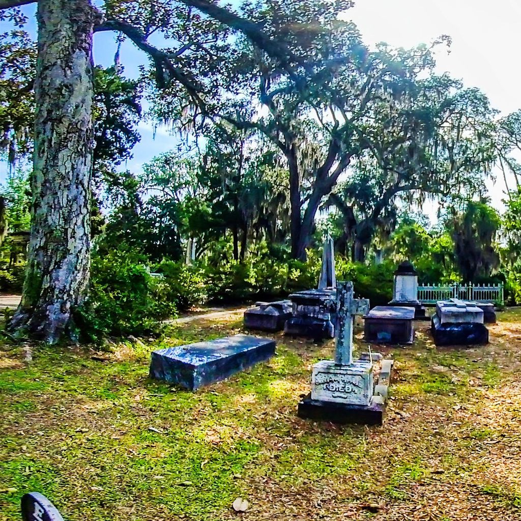 Bonaventure Cemetary 5