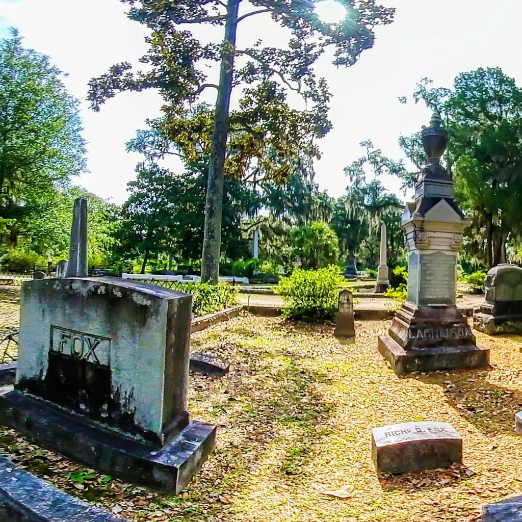 Bonaventure Cemetary 13