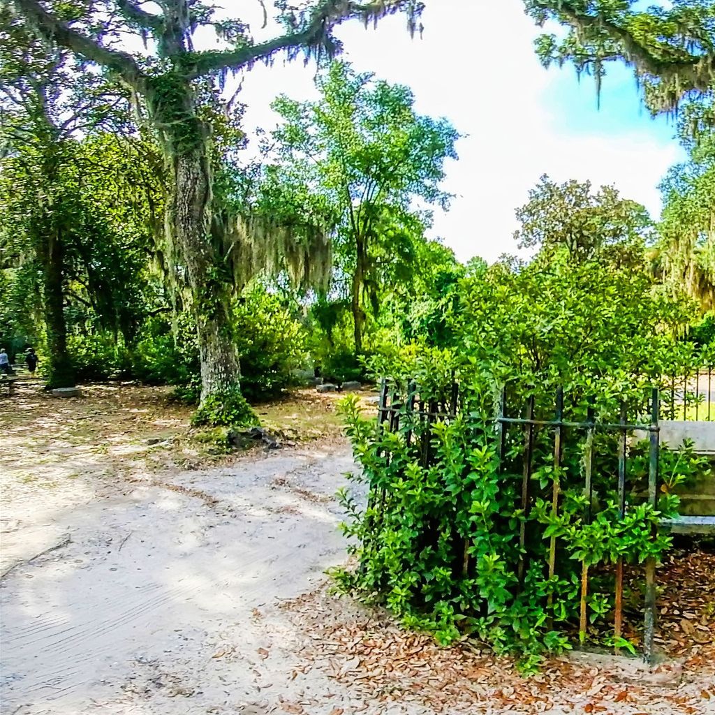 Bonaventure Cemetary 17
