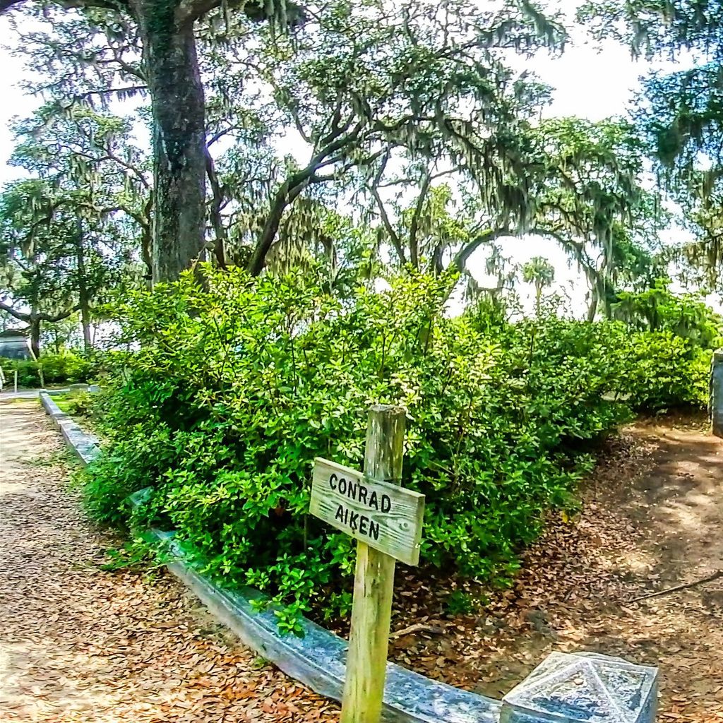 Bonaventure Cemetary 18