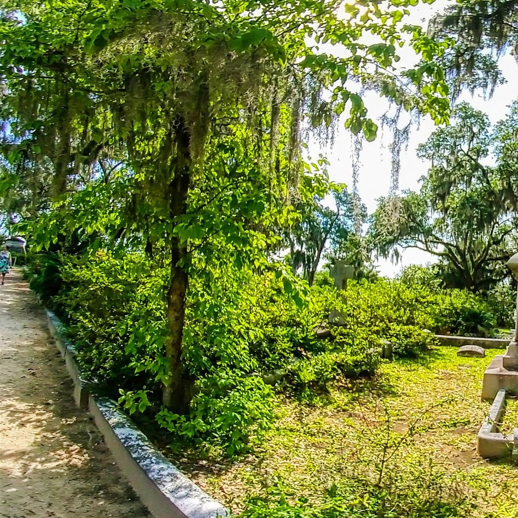 Bonaventure Cemetary 20