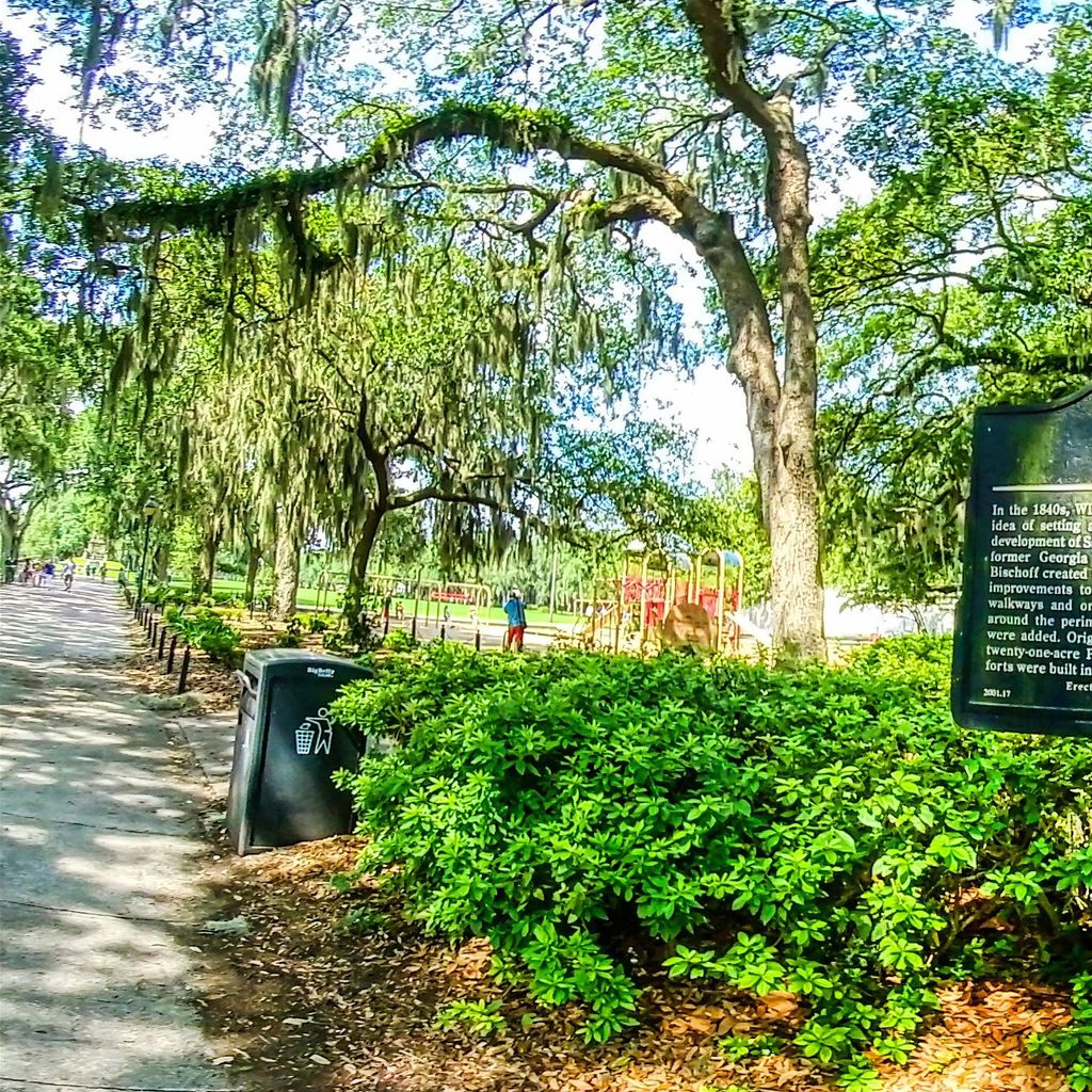 Forsyth Park