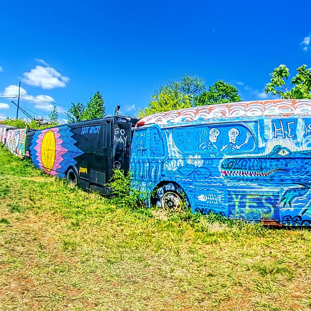 Bus 6